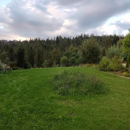 מלון זקופאנה Prymulka מראה חיצוני תמונה