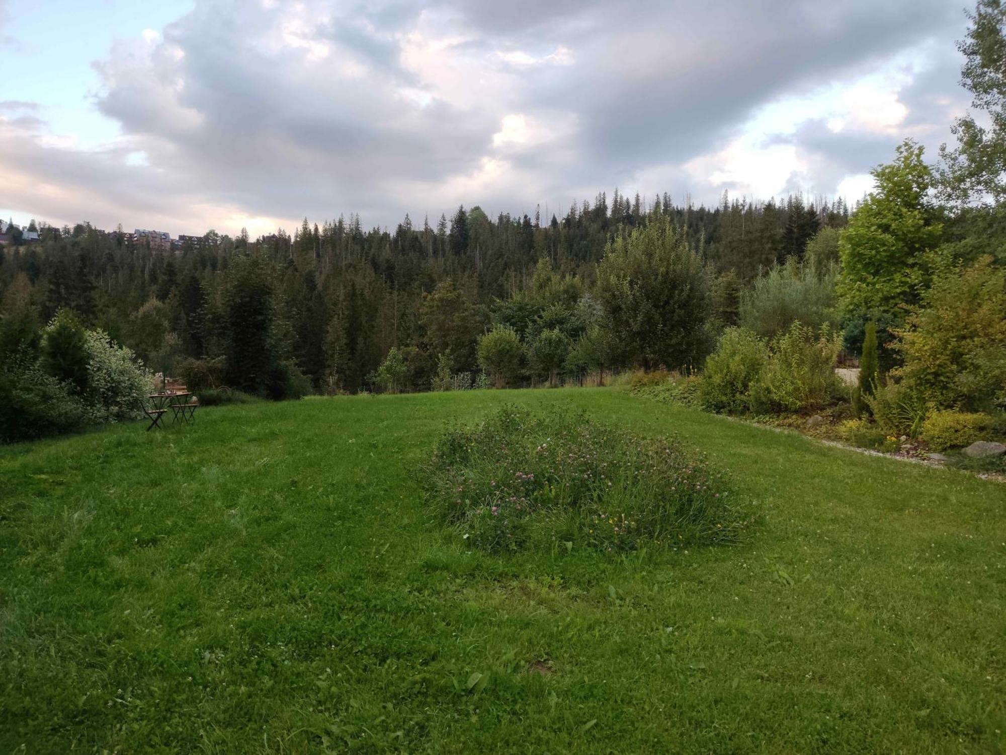מלון זקופאנה Prymulka מראה חיצוני תמונה
